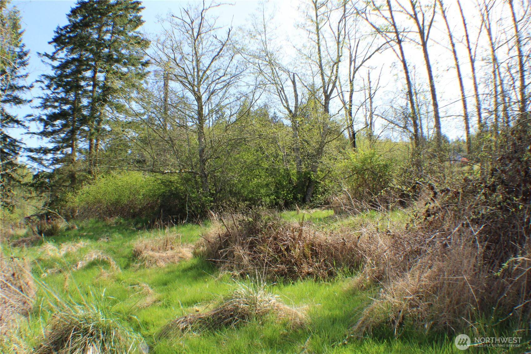 Port Angeles, WA 98362,999 Oso Vista CT