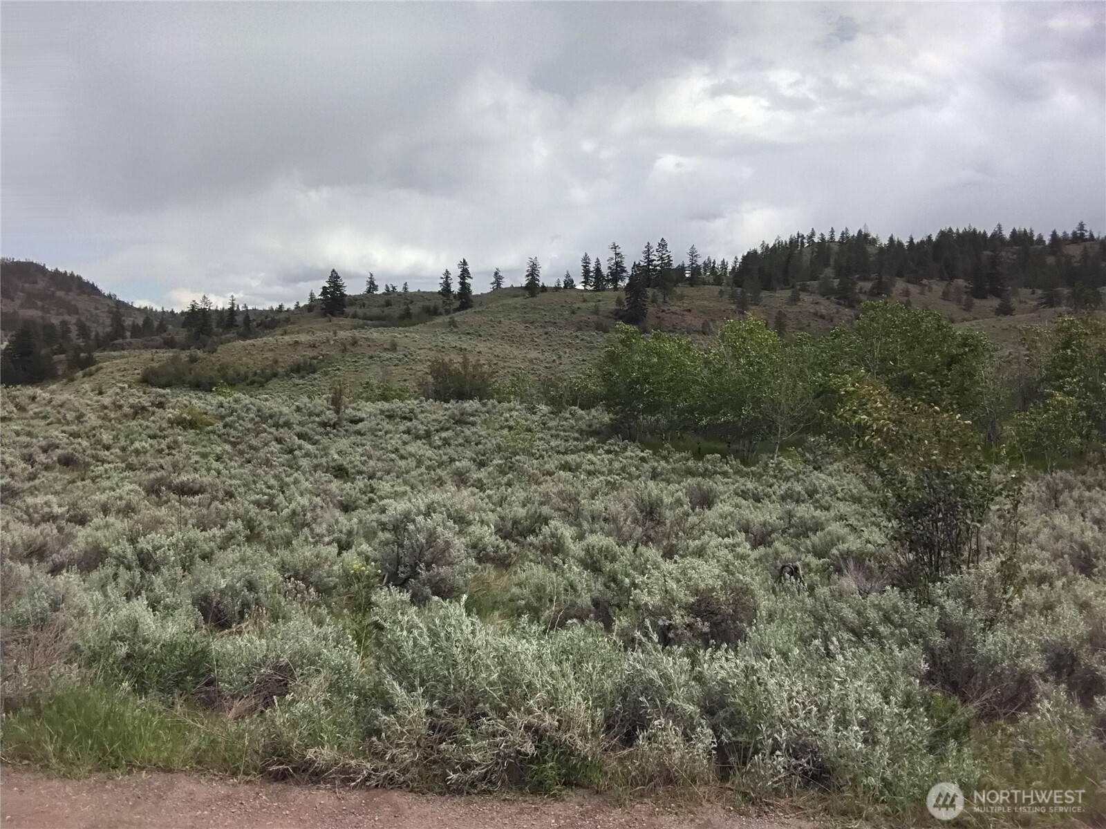 Oroville, WA 98844,44 Palmer Mountain RD
