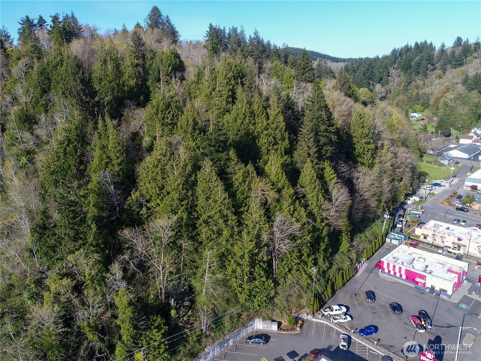 Aberdeen, WA 98520,0 Summit ST