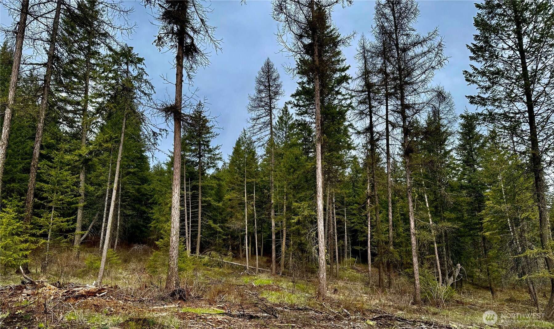 Fruitland, WA 99129,6200 Brisbois RD #D