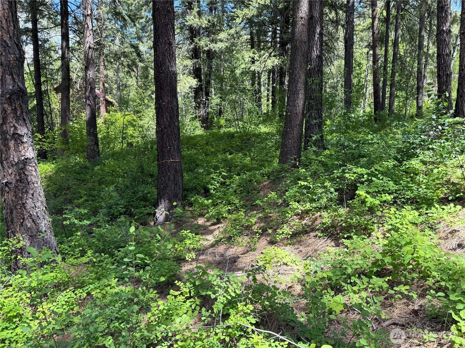Winthrop, WA 98862,11 Highland Meadow RD