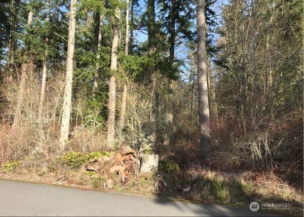 Camano Island, WA 98282,0 Parkview LN