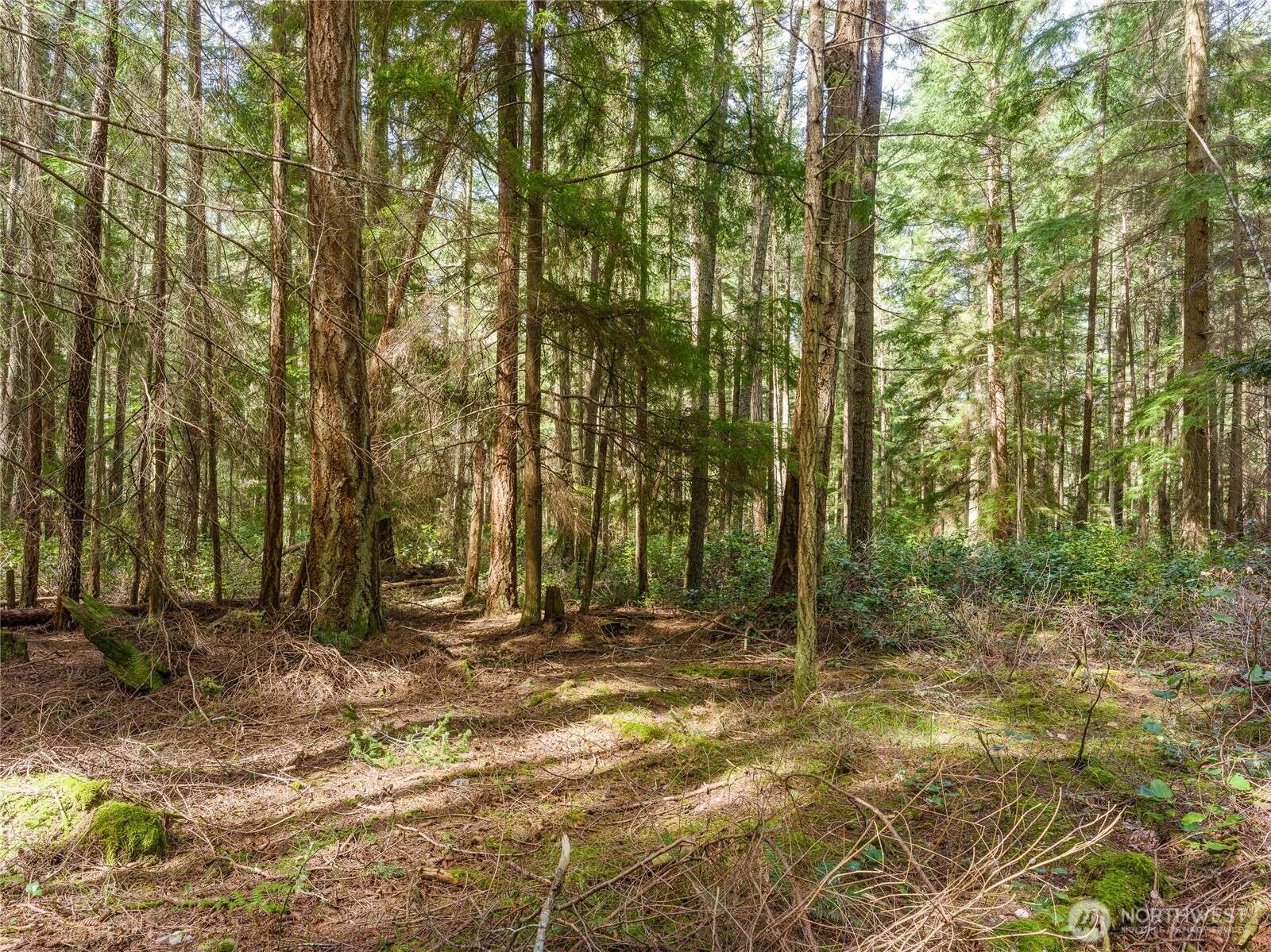 Lopez Island, WA 98261,353 Davies DR