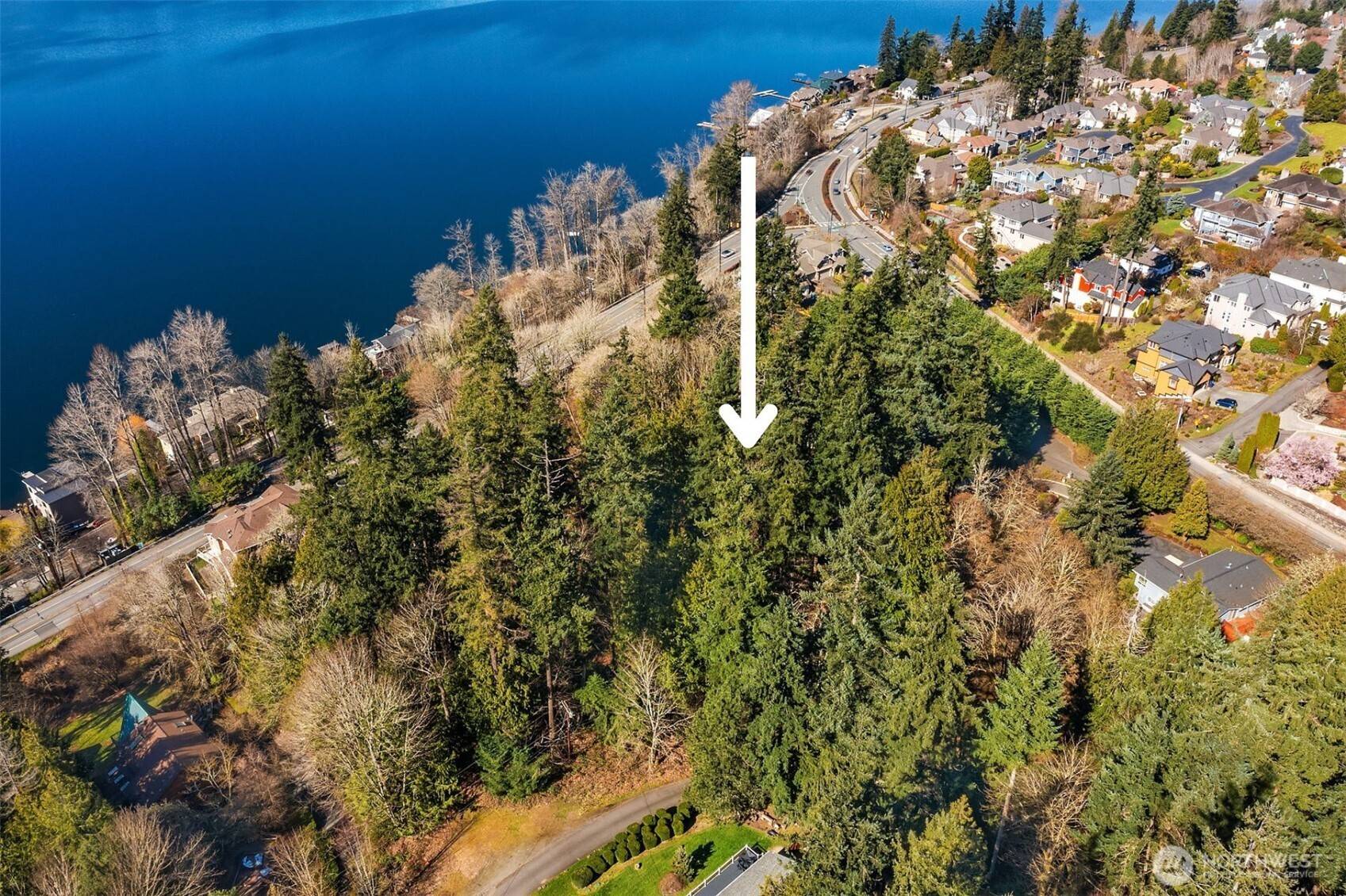 Sammamish, WA 98075,11 XX 205th AVE NE