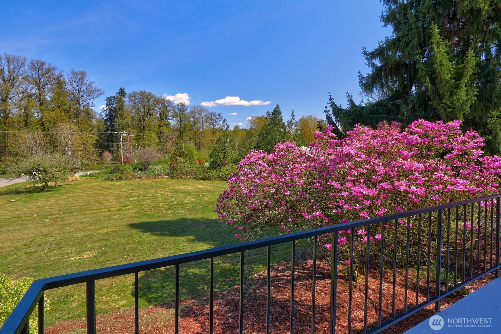 Maple Valley, WA 98038,17817 Renton Maple Valley RD SE