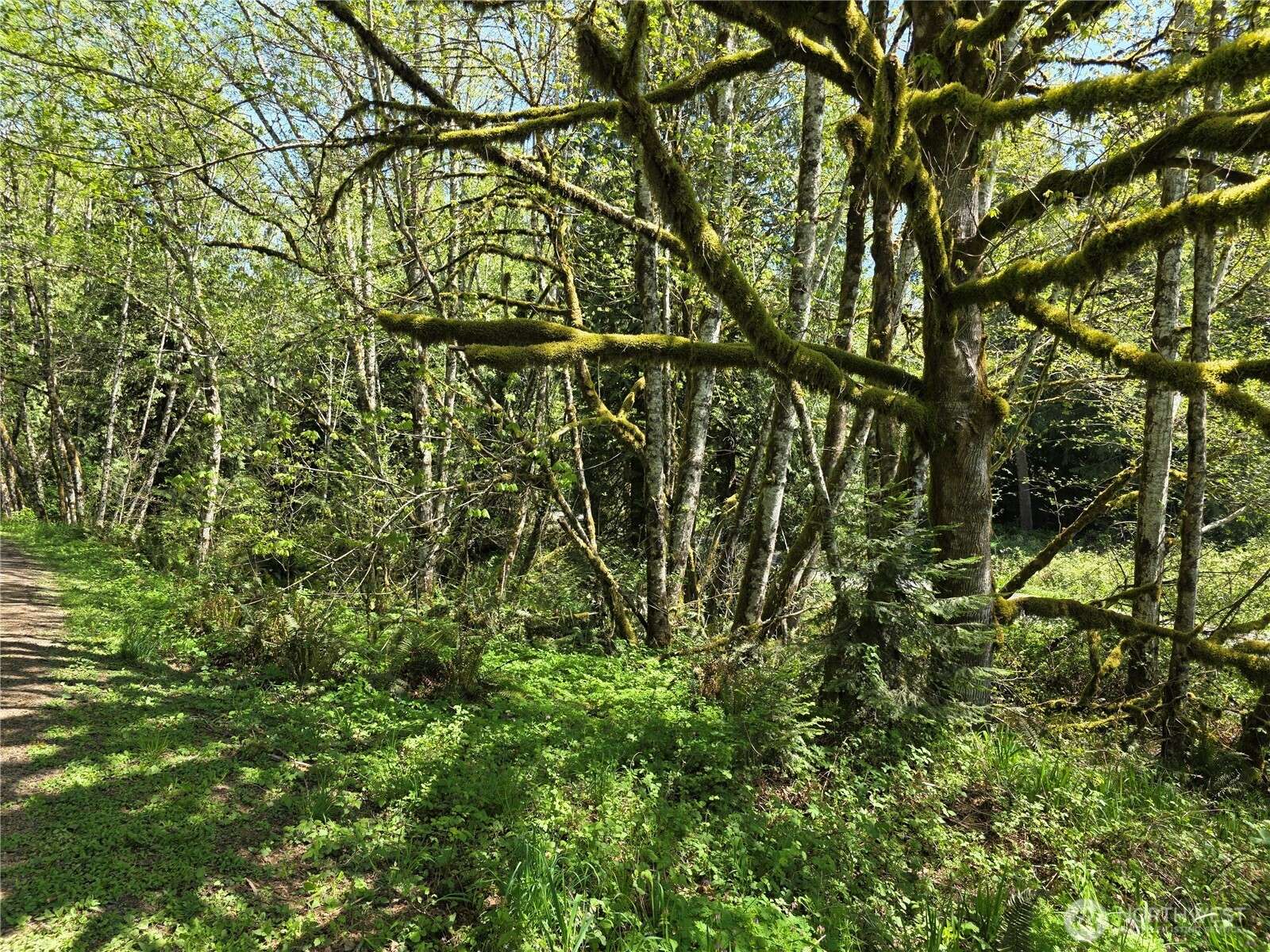 Longview, WA 98632,0 Mill Falls LN