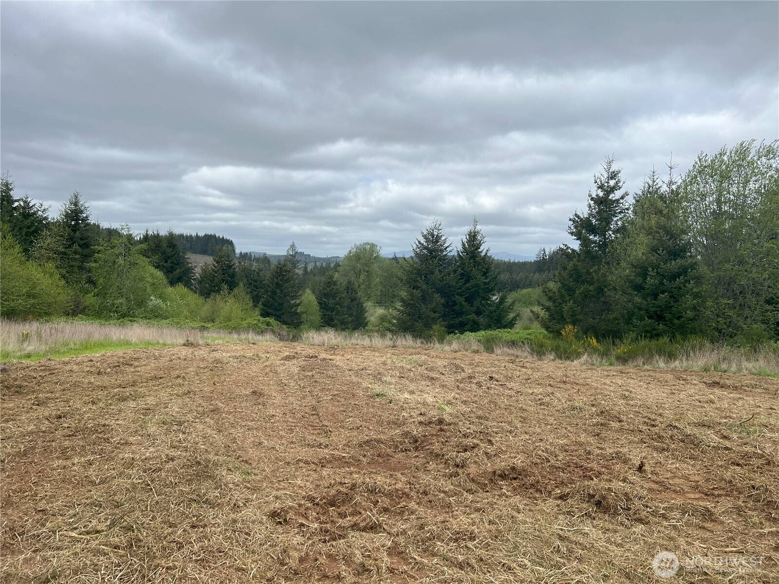 Chehalis, WA 98532,113 Red Rock LN