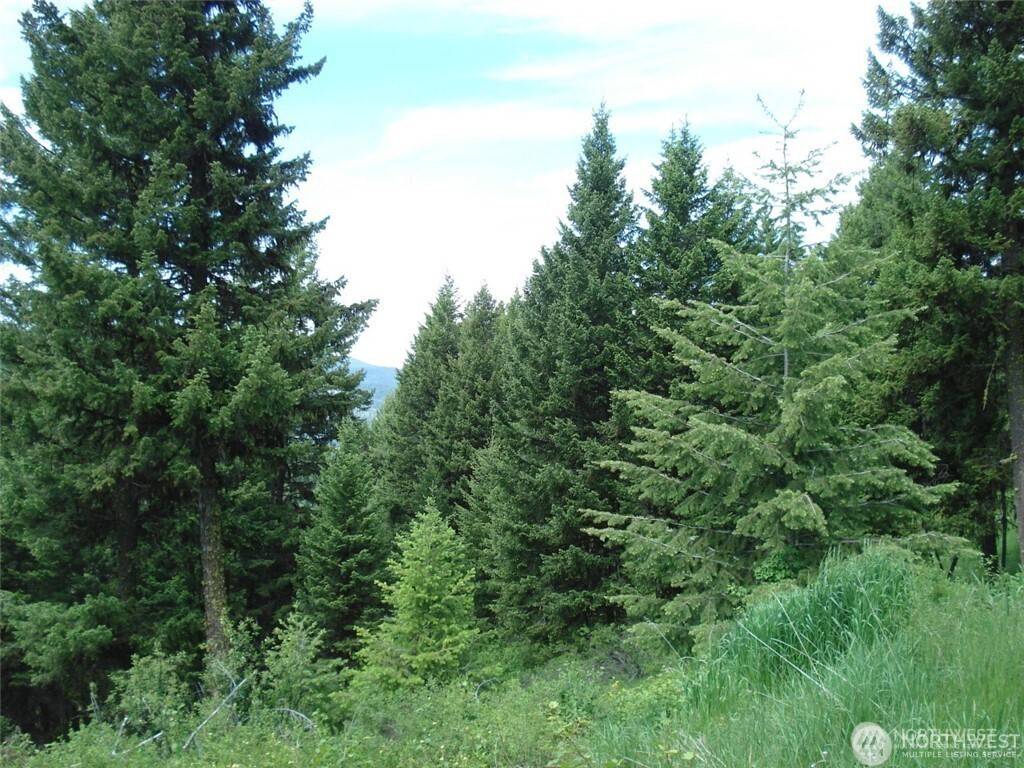Republic, WA 99166,1 TBD Wellman RD