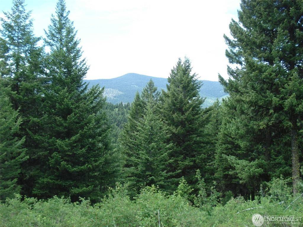 Republic, WA 99166,1 TBD Wellman RD