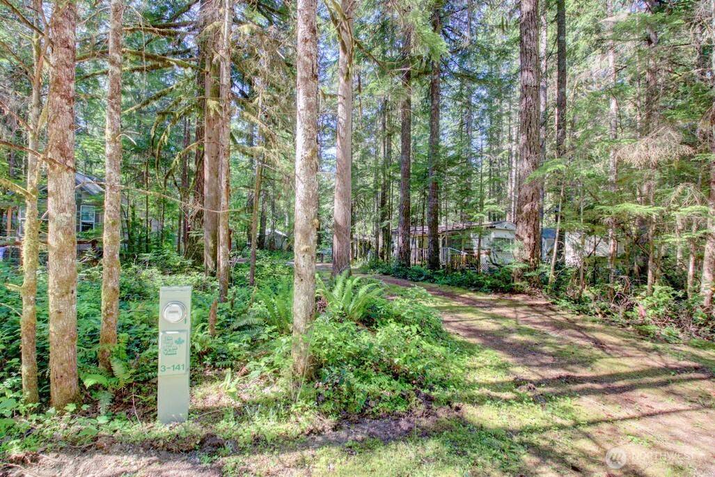 Deming, WA 98244,141 3 Big River BLVD E