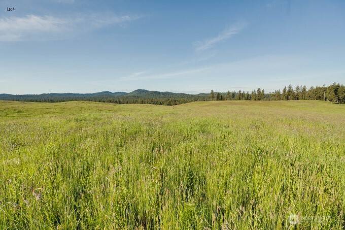 Valley, WA 99181,3737 C S Jumpoff RD #Lot 4