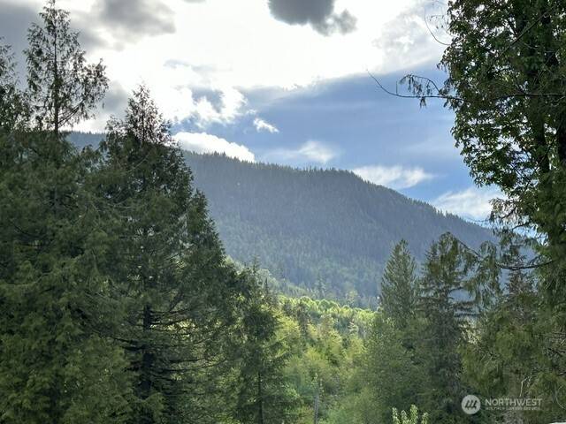 Deming, WA 98244,9269 Cornell Creek RD