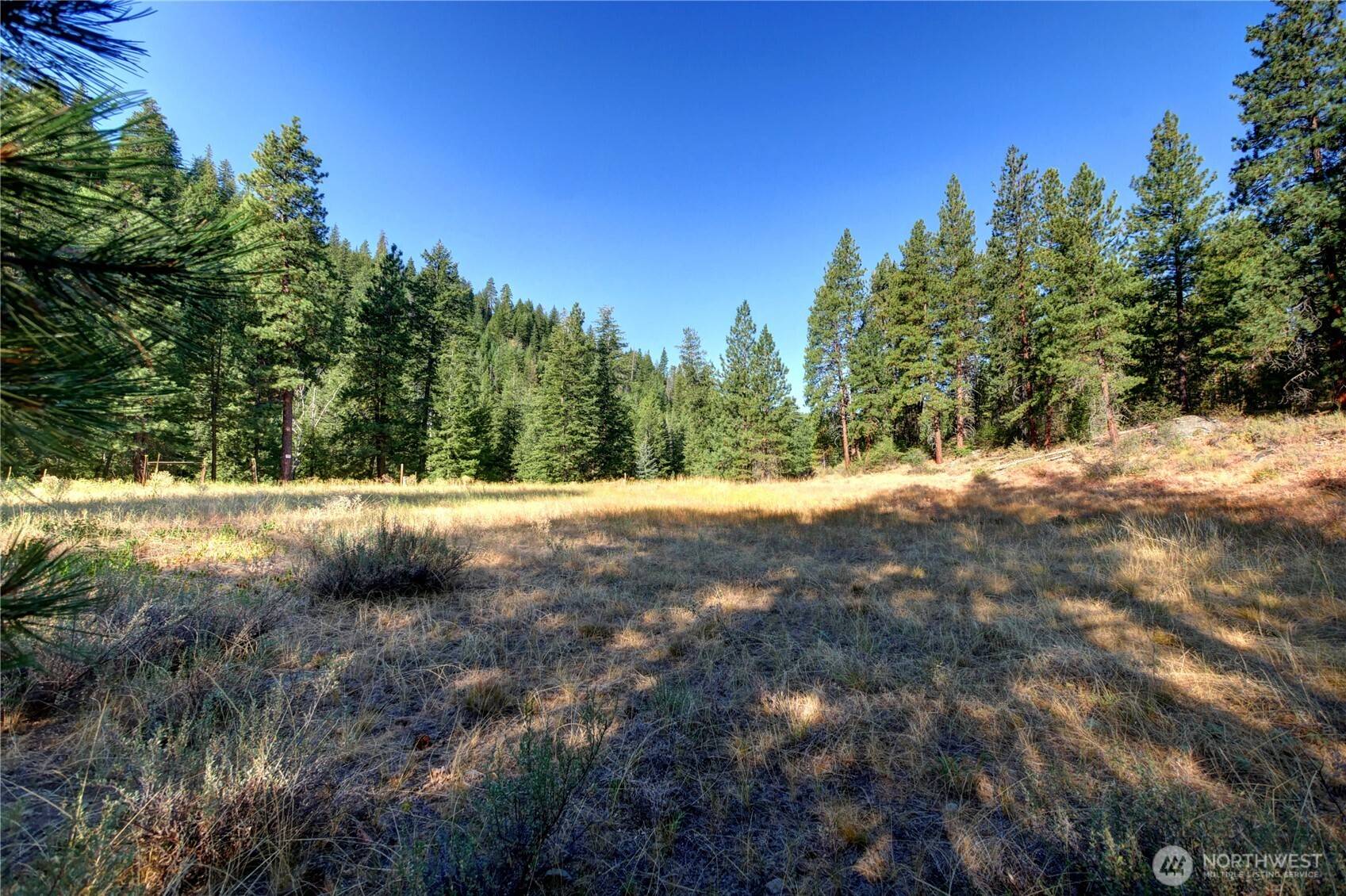 Twisp, WA 98856,799 Twisp River RD