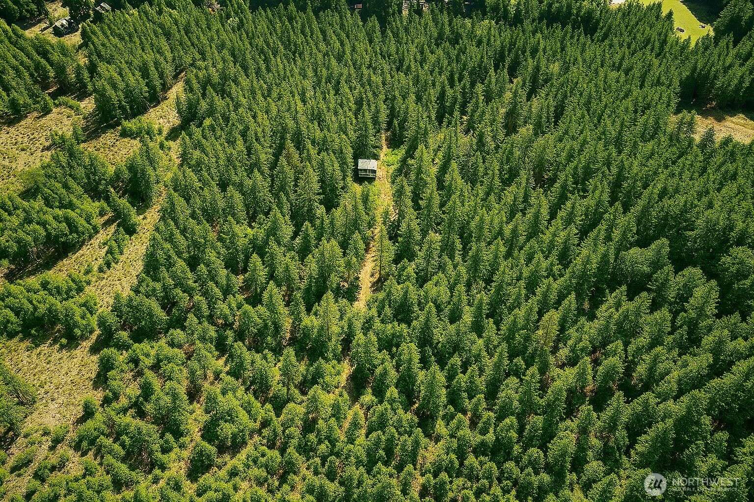 Packwood, WA 98361,0 Lot 1 Sasquatch LN