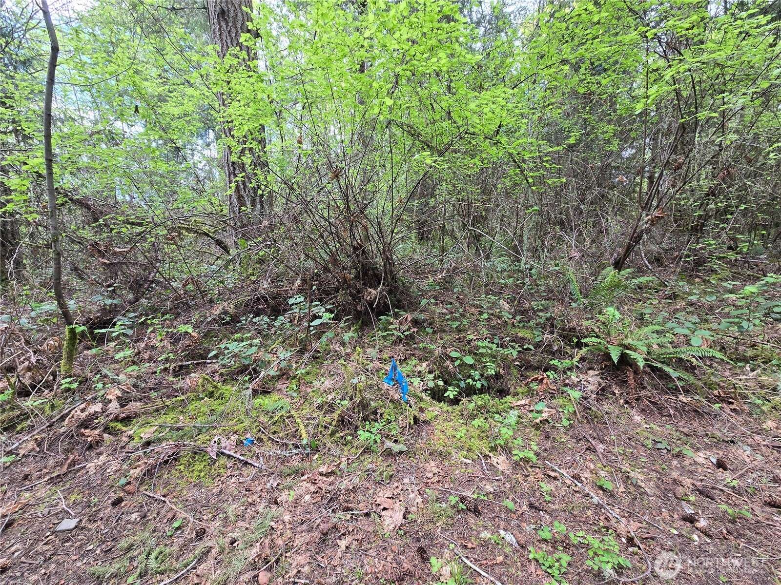 Shelton, WA 98584,0 SE Lynch RD