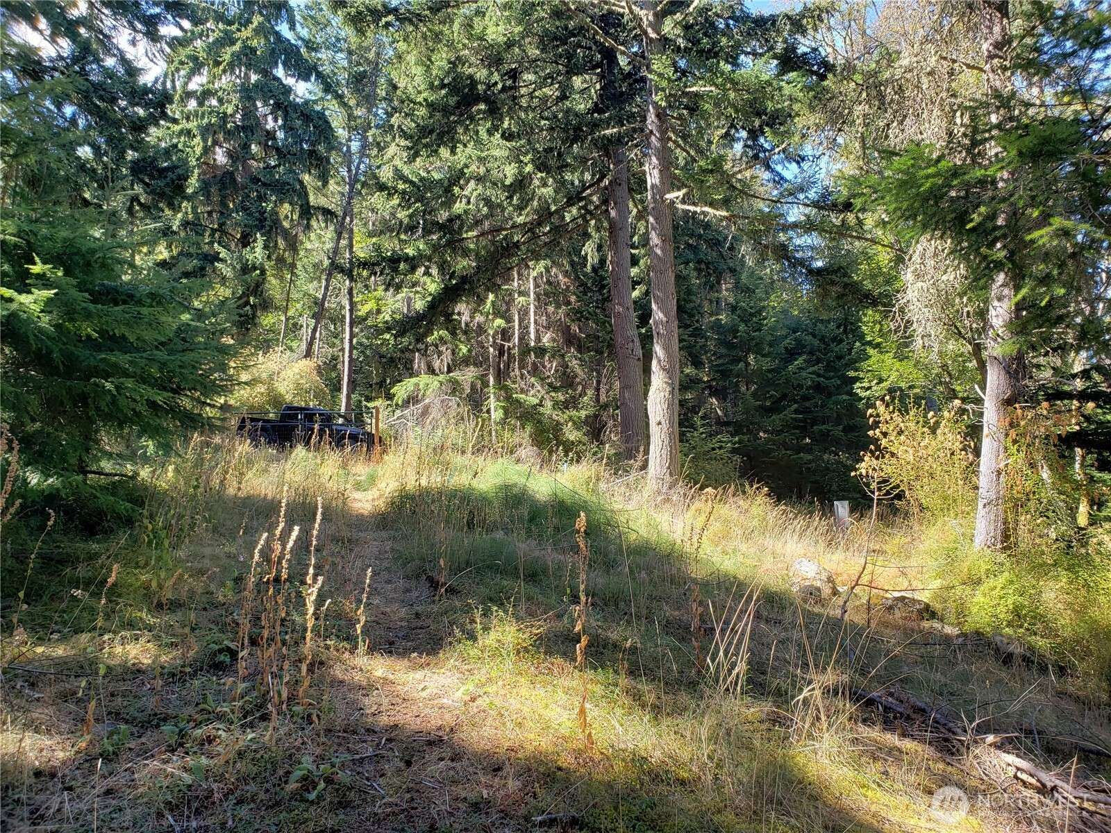 Orcas Island, WA 98245,0 Raccoon Point RD #Lot 2