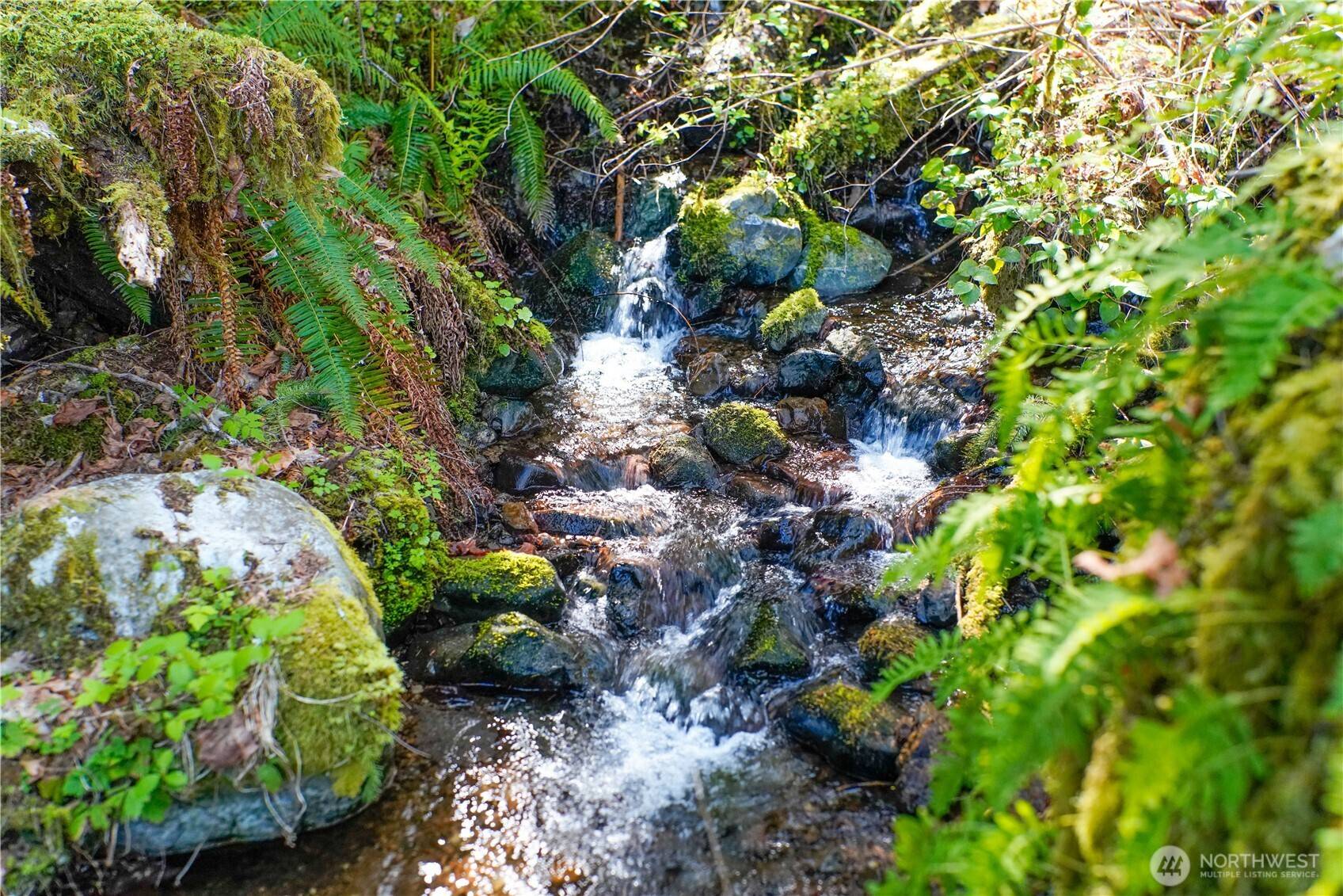 Hoodsport, WA 98548,300 N Cushman Ridge RD