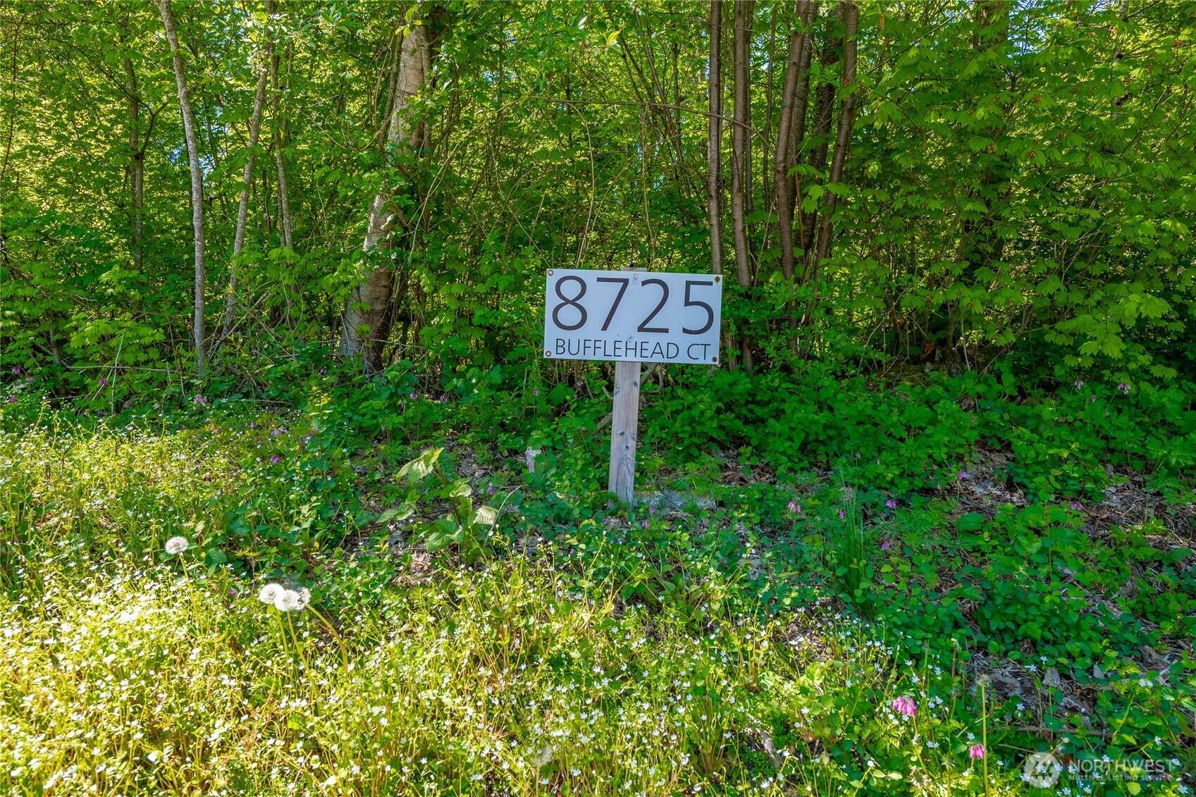 Blaine, WA 98230,8725 Bufflehead CT