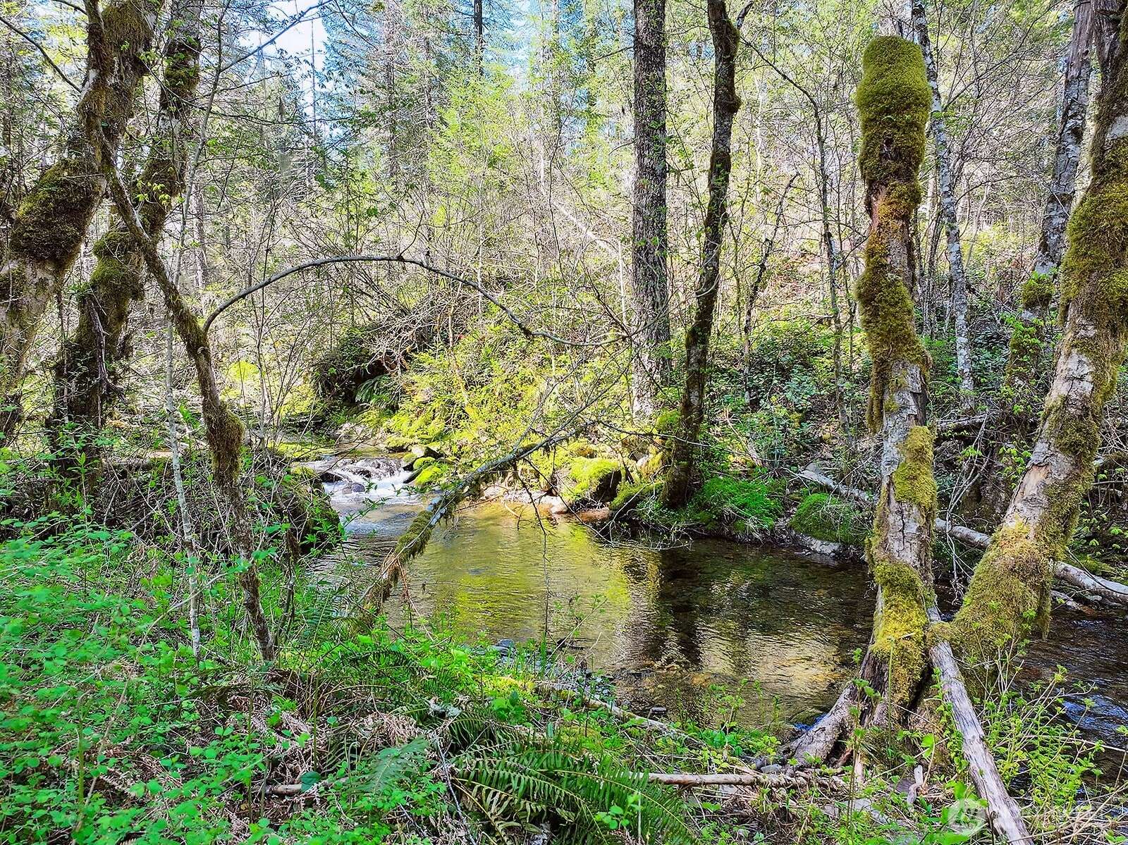 Carson, WA 98610,52 Foster RD