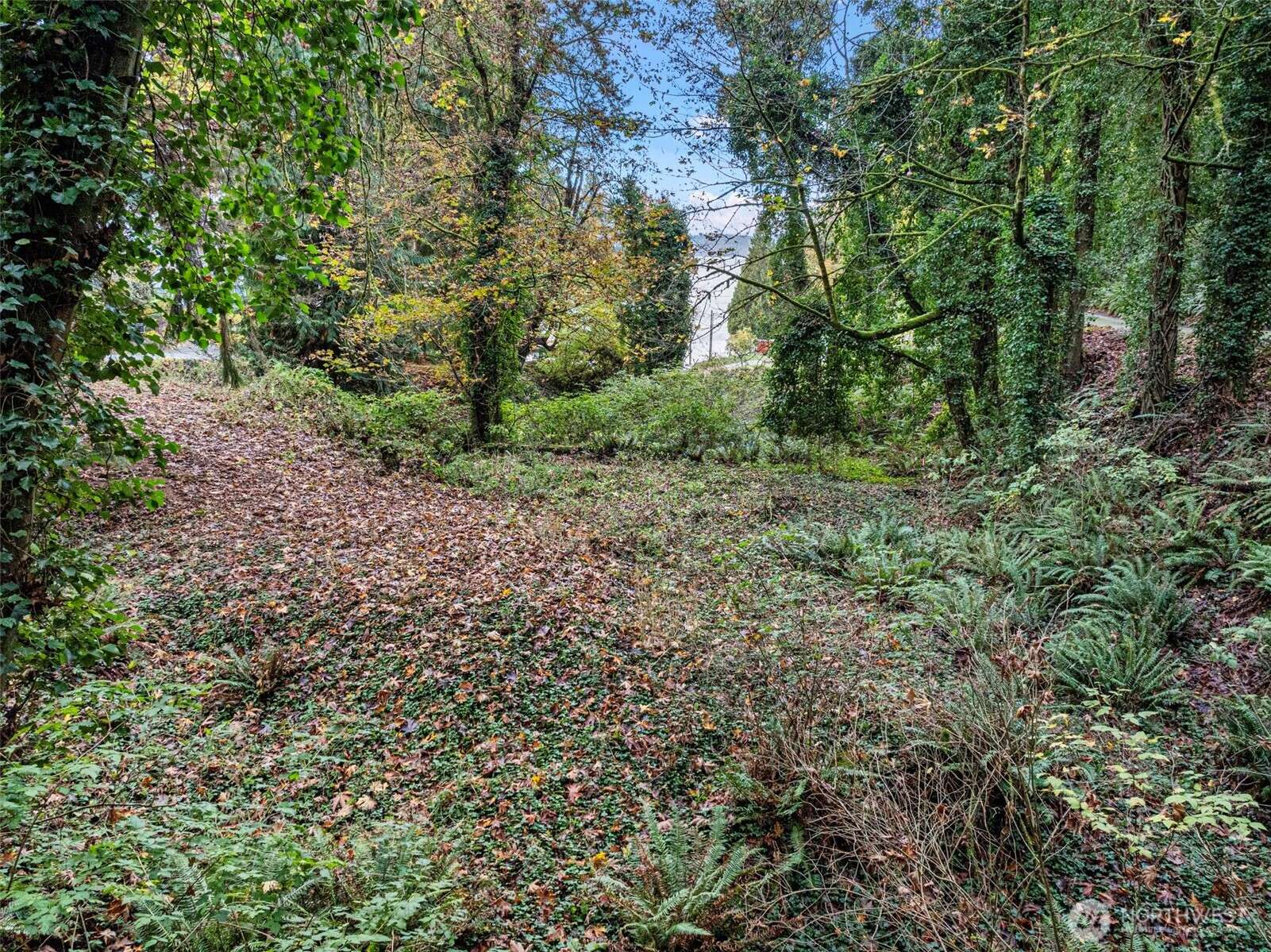 Gig Harbor, WA 98332,2004 Lybecker DR NW