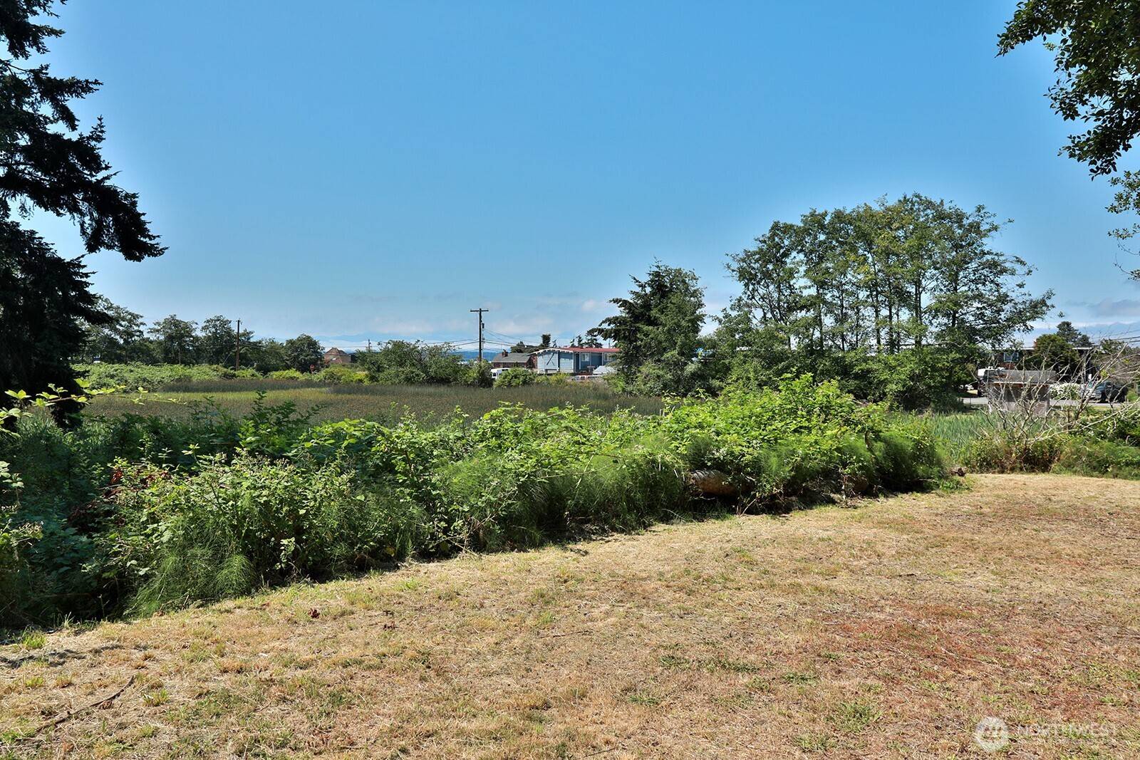 Greenbank, WA 98253,3776 Shorewood AVE