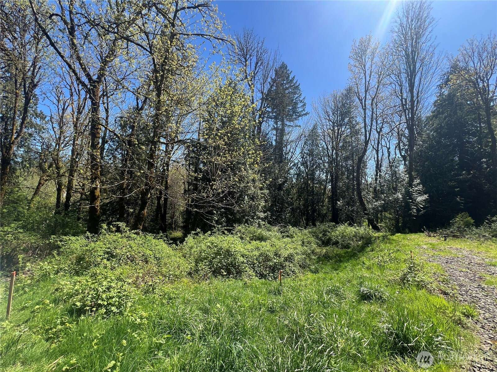 Port Orchard, WA 98366,4653 Phillips RD SE