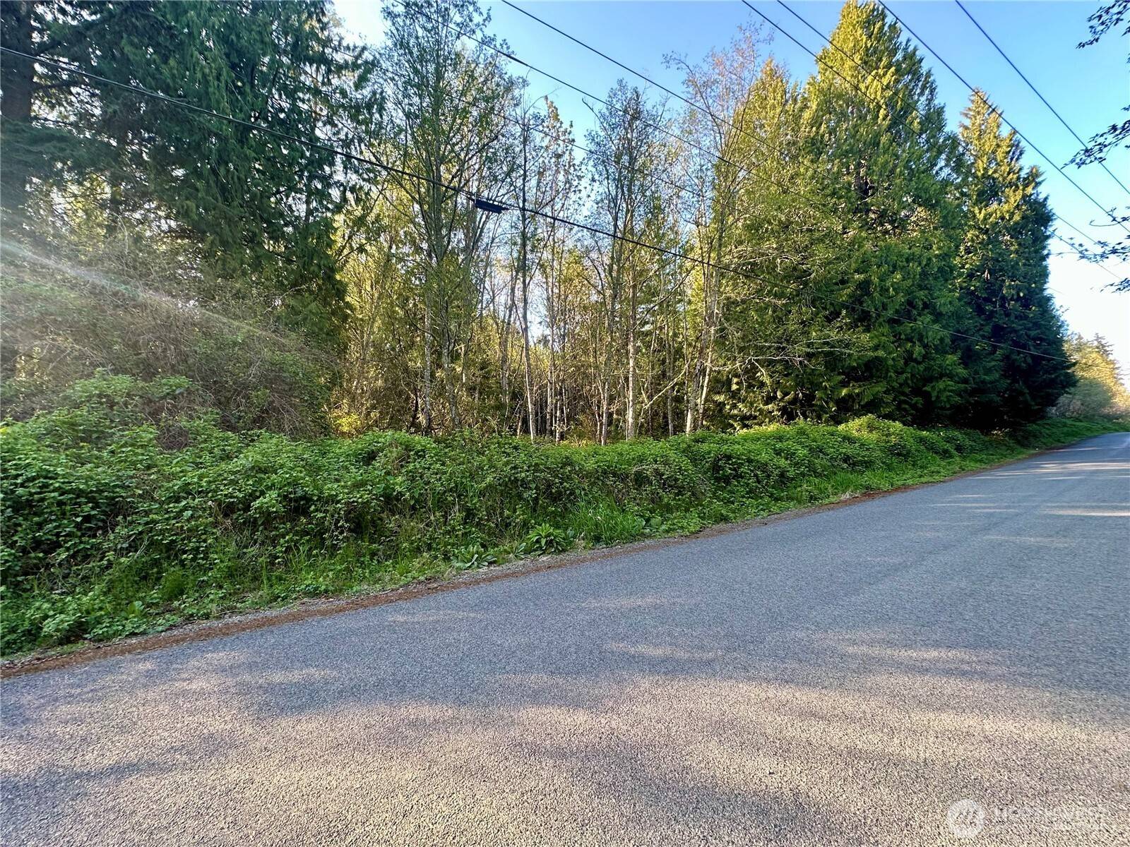 Bonney Lake, WA 98391,18415 170th ST E