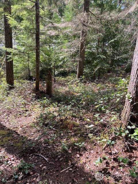 Hoodsport, WA 98548,410 N Mount Seattle WAY