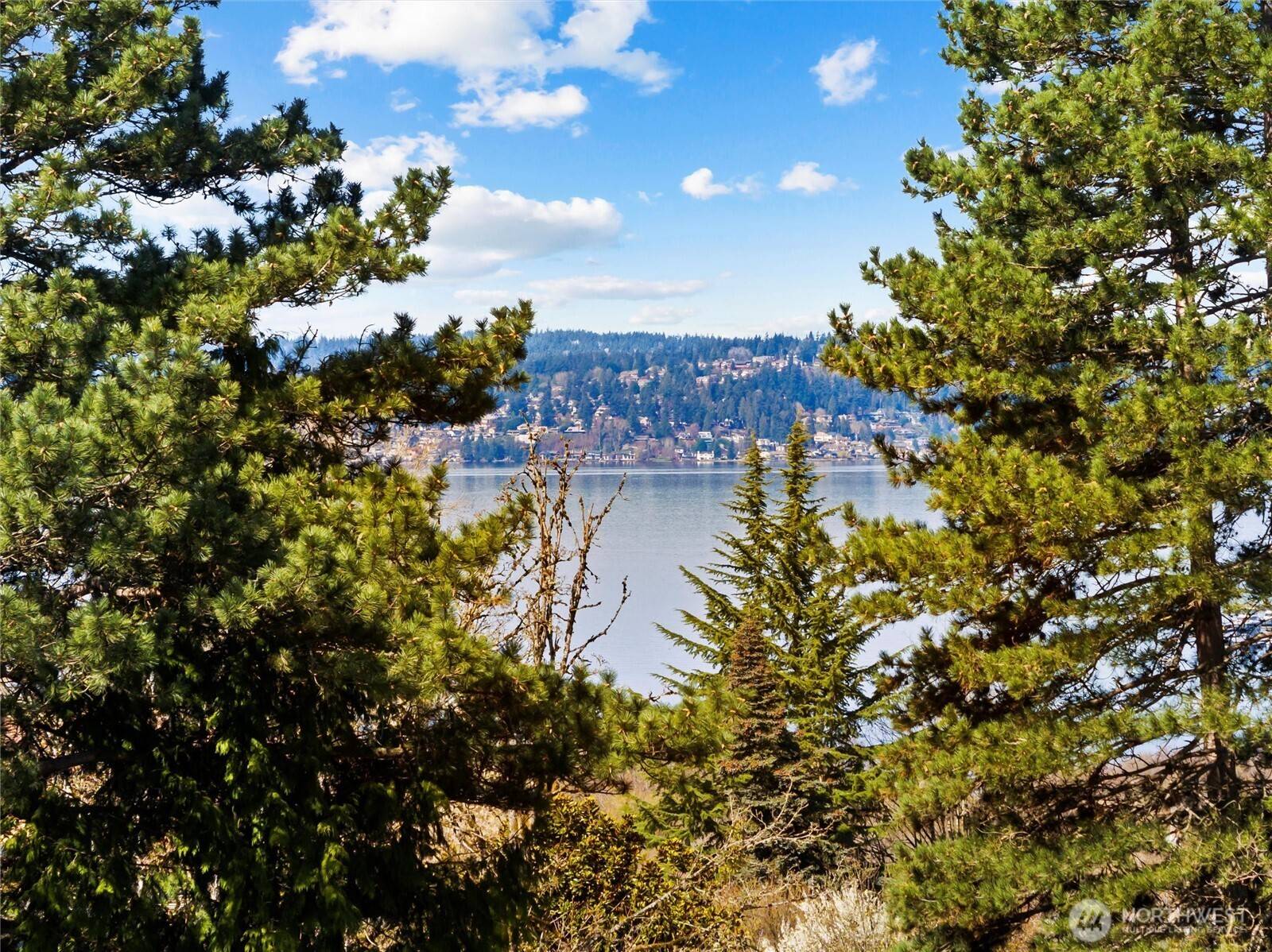 Bellevue, WA 98004,10063 NE 33rd ST
