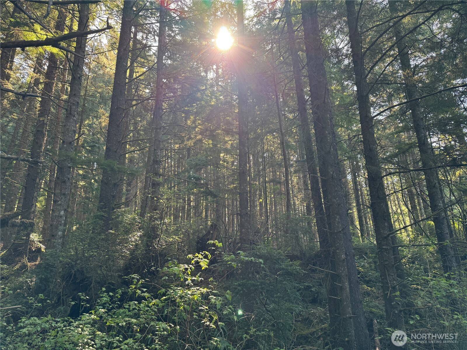 Pacific Beach, WA 98571,0 Roosevelt Beach