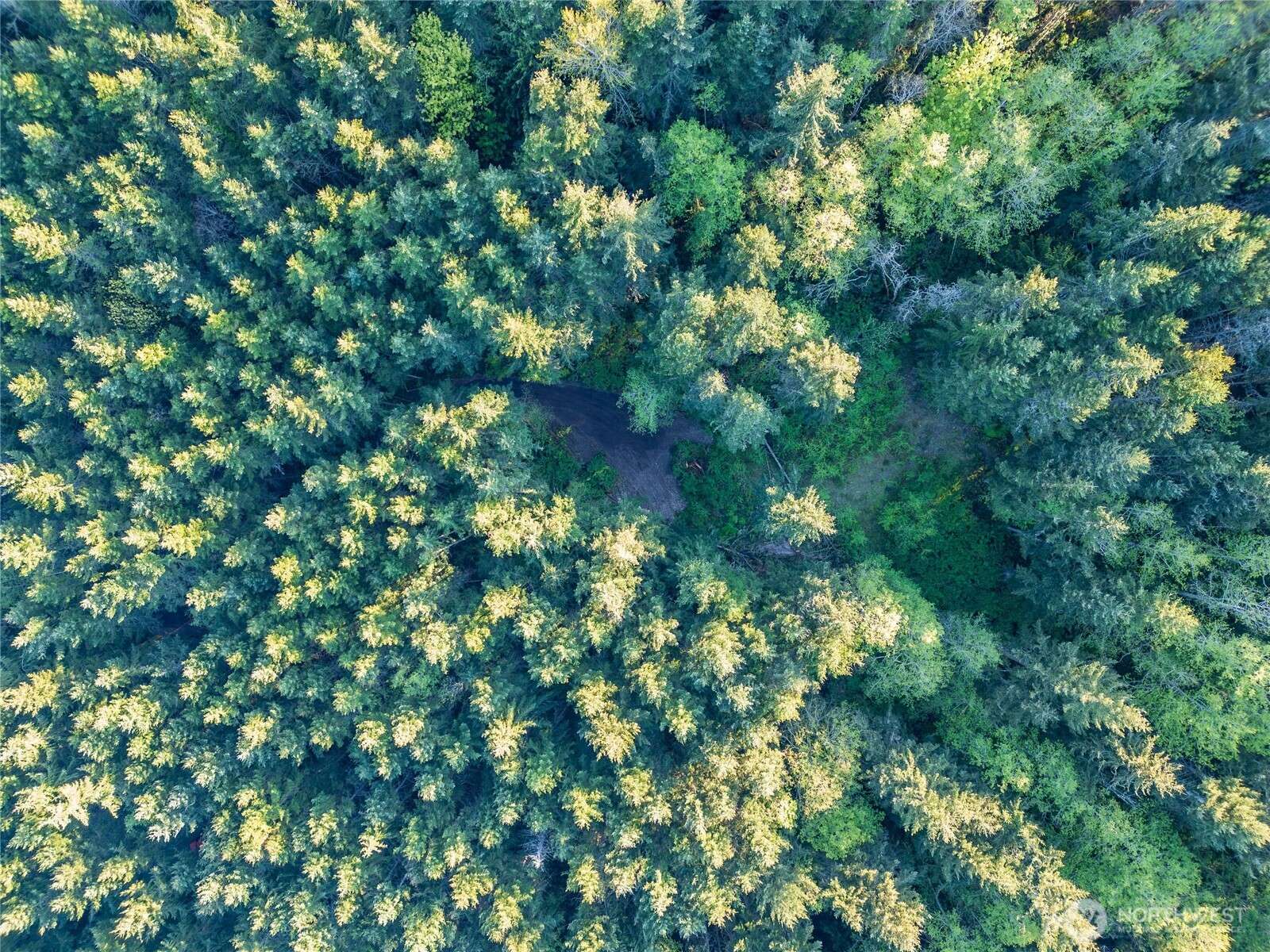 Port Townsend, WA 98368,0 Discovery Ridge RD