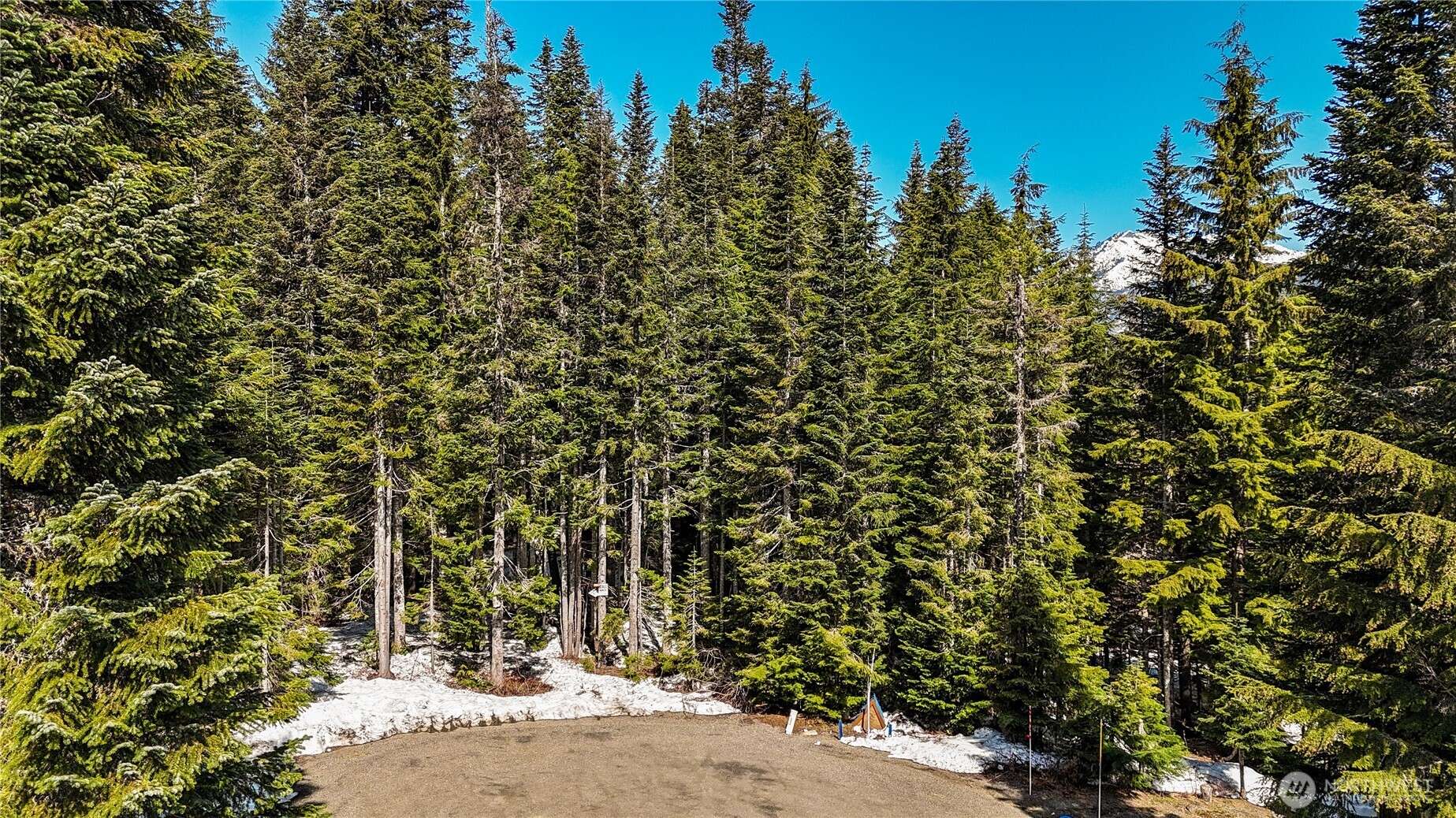 Snoqualmie Pass, WA 98068,4 -XX Cascade PL