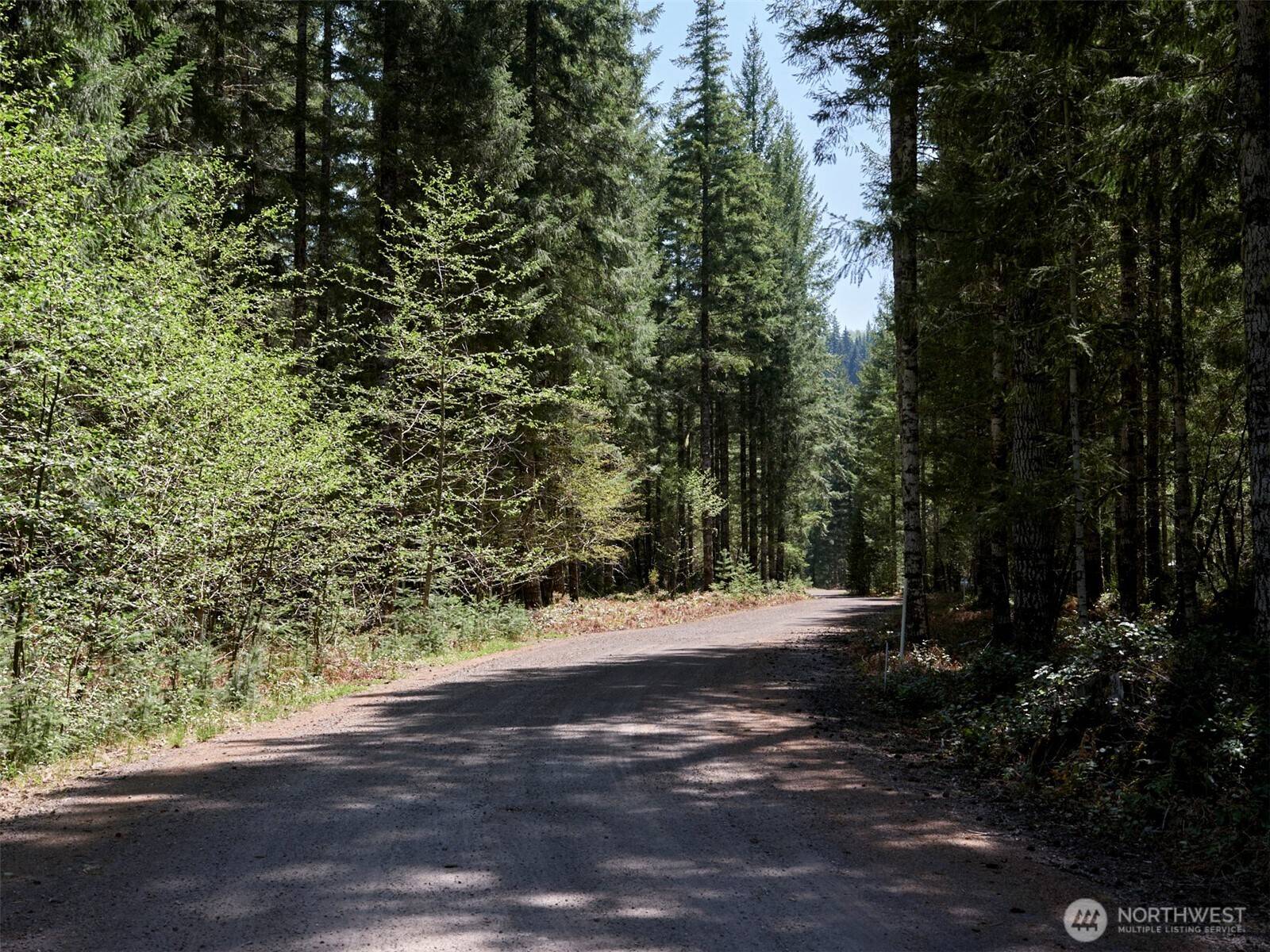 Cougar, WA 98616,2 Loowit LN