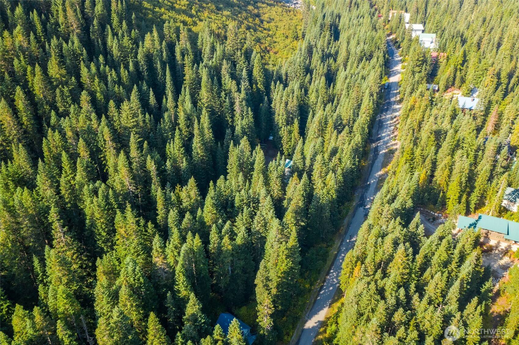 Leavenworth, WA 98826,34269 S Nason RD