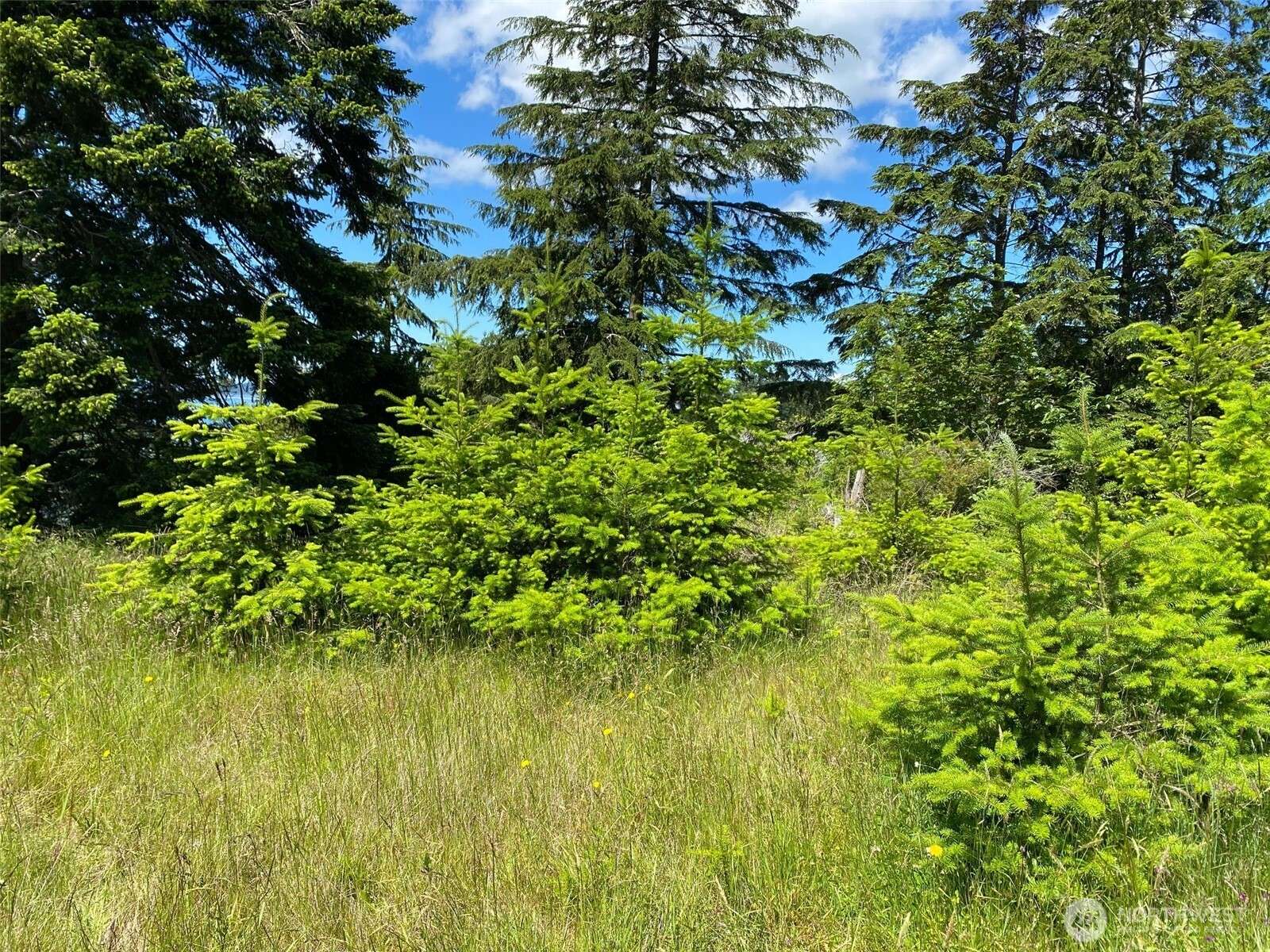 Coupeville, WA 98239,0 Fircrest AVE