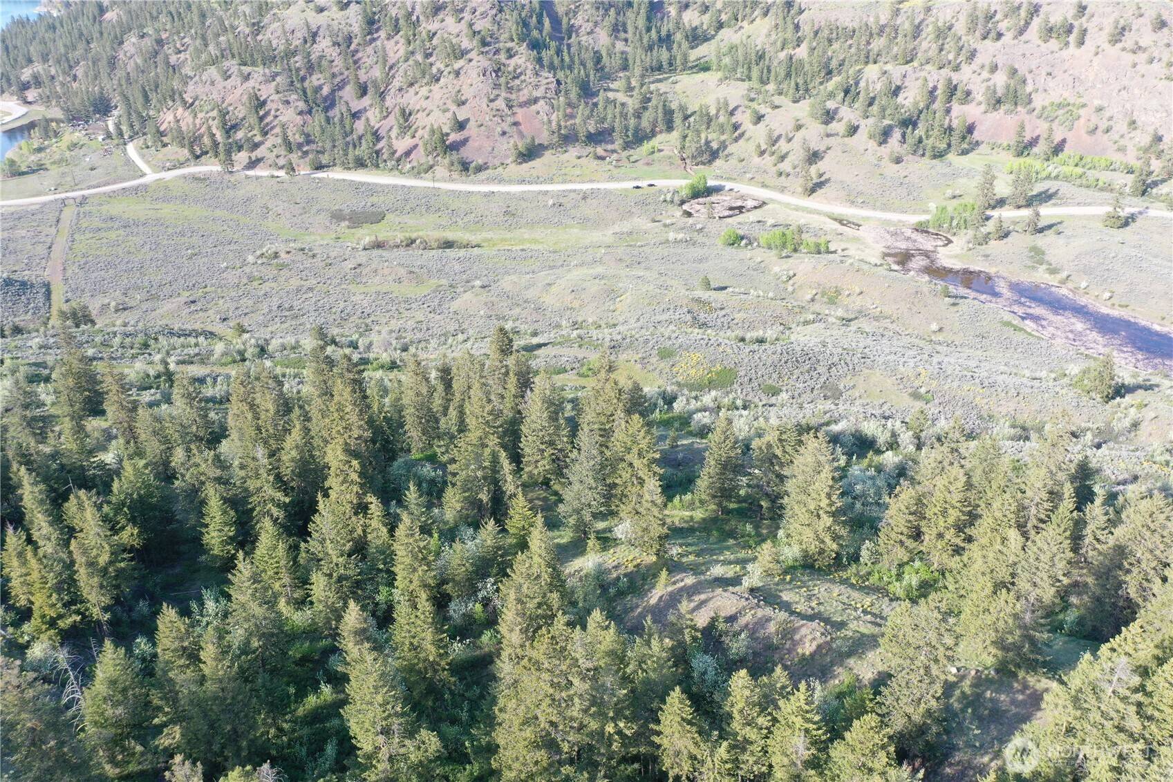 Oroville, WA 98844,0 TBD Wannacut Lake Rd Lot 5