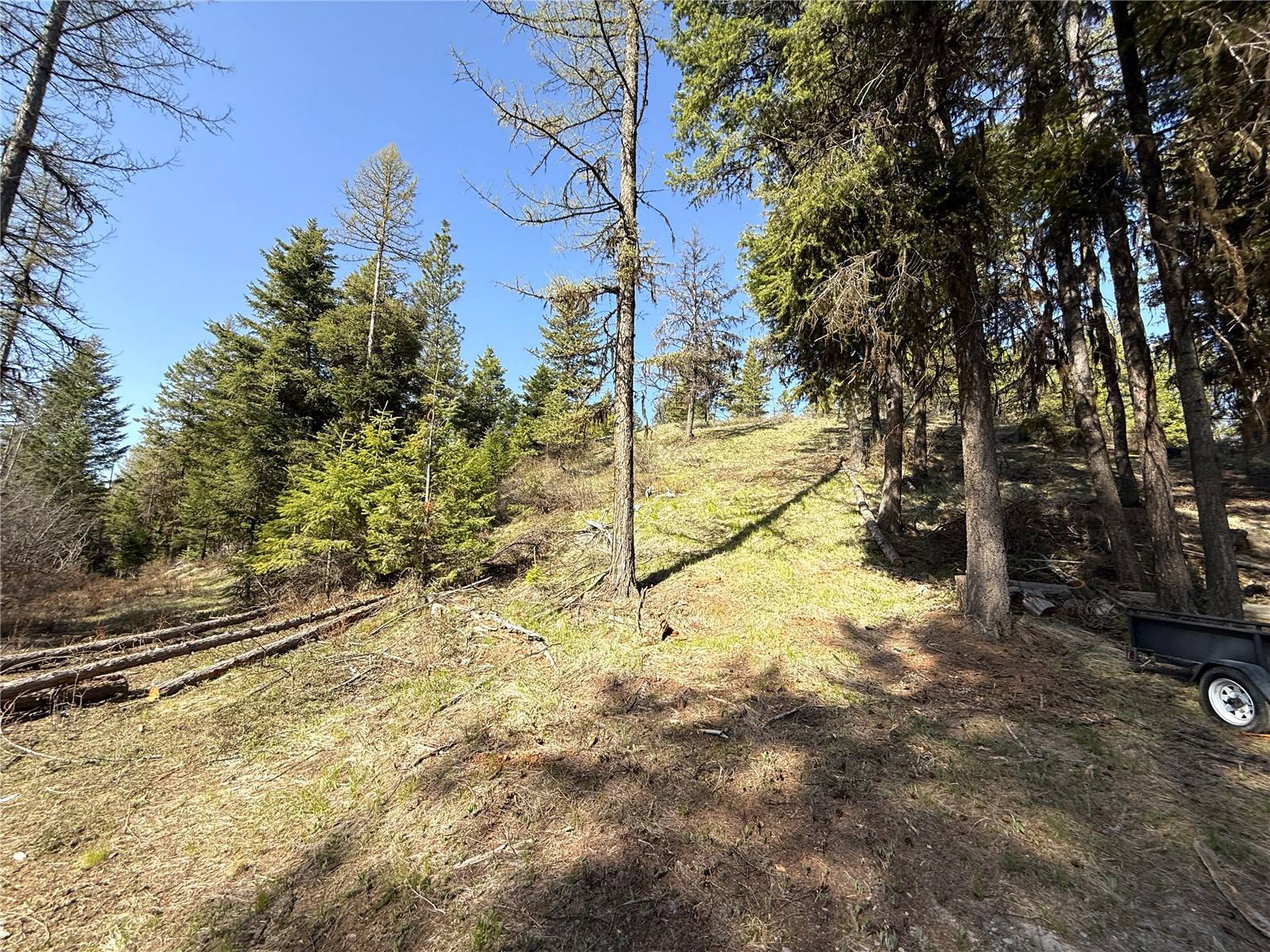 Wauconda, WA 98859,0 TBD Give Out Creek RD