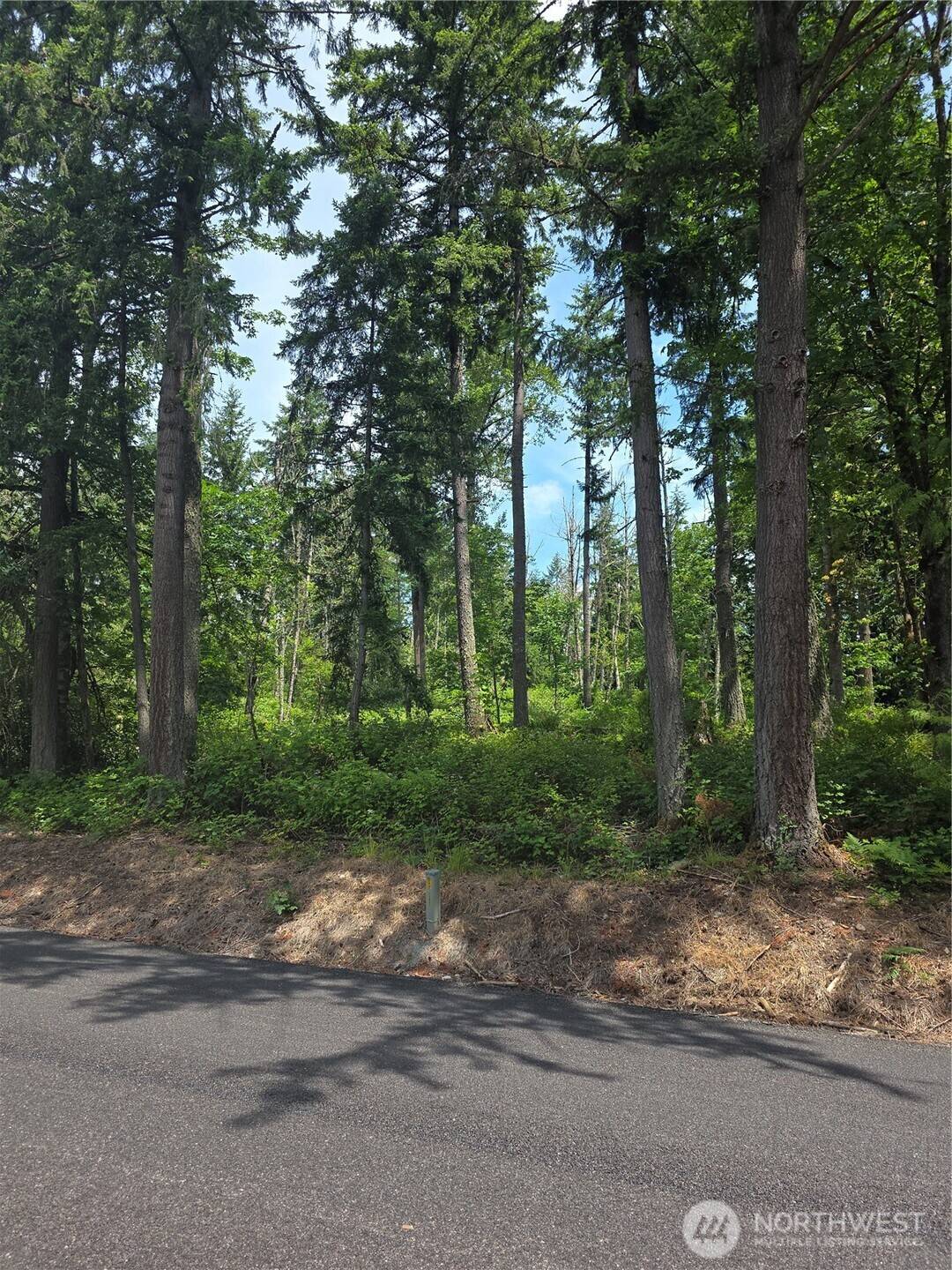 Graham, WA 98338,29615 Orting Kapowsin HWY E