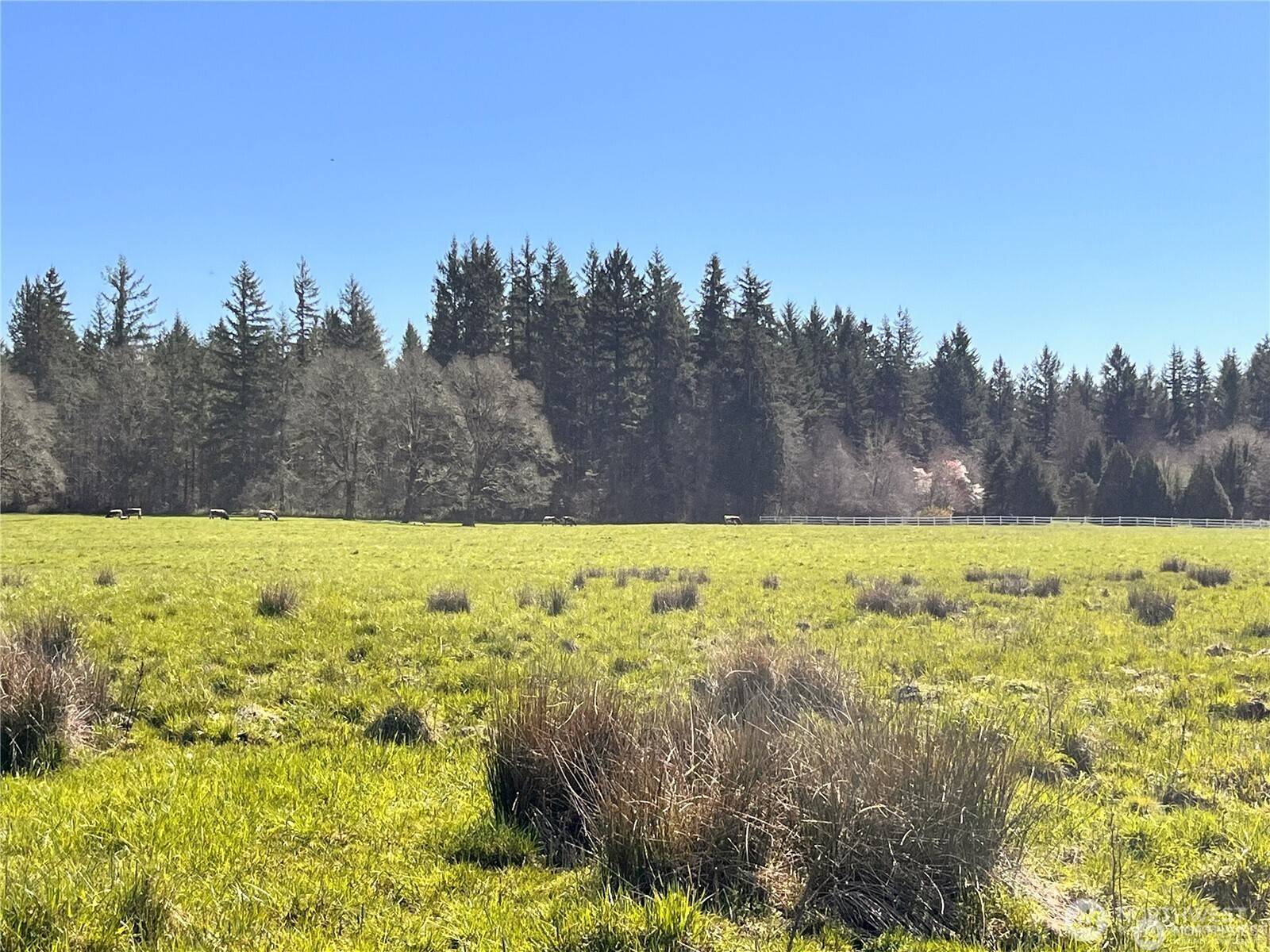 Battle Ground, WA 98604,0 NE 212th AVE