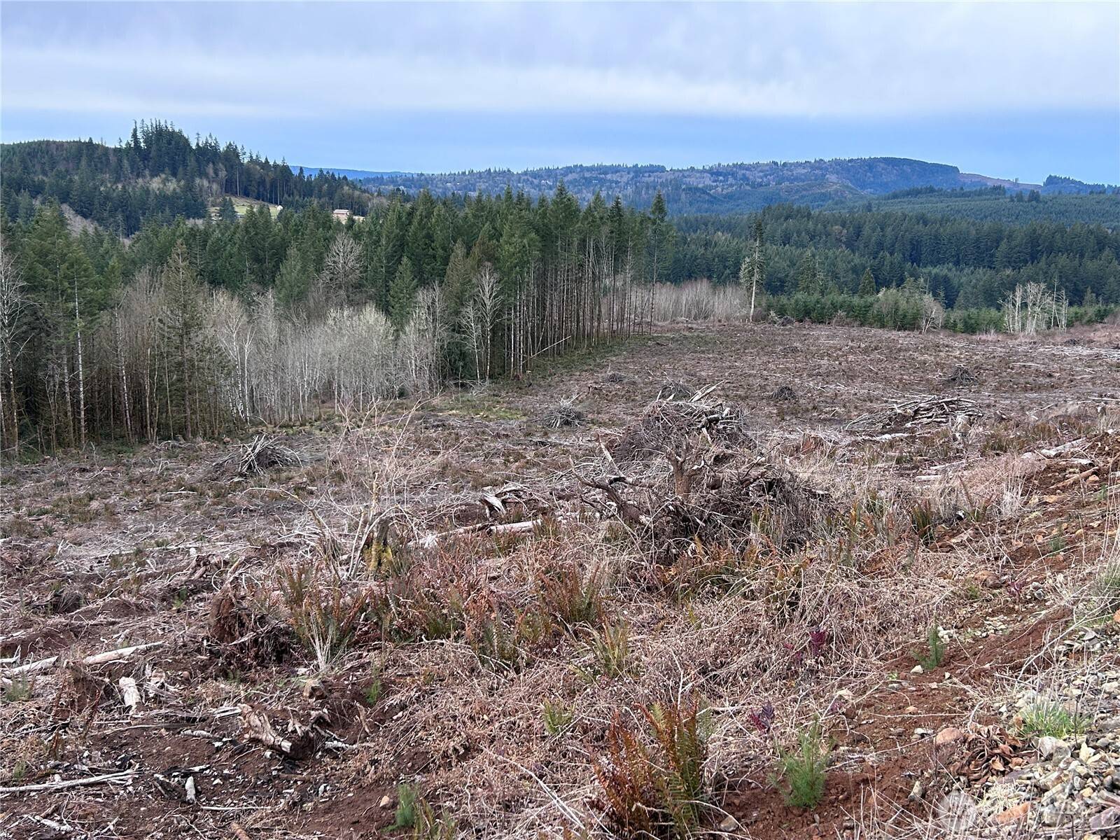 Kelso, WA 98626,0 NKA N Goble Creek RD