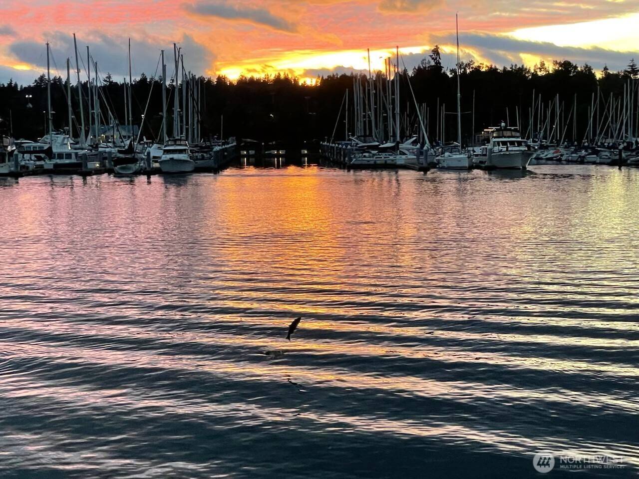Olympia, WA 98506,1333 East Bay DR NE