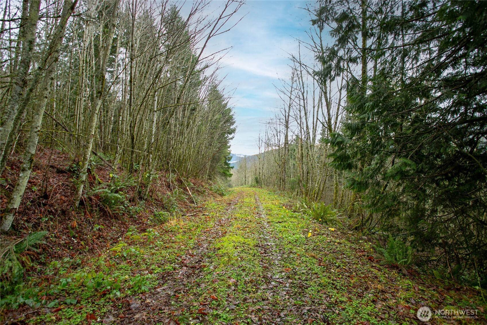 Deming, WA 98247,5372 Salmon Ridge LN
