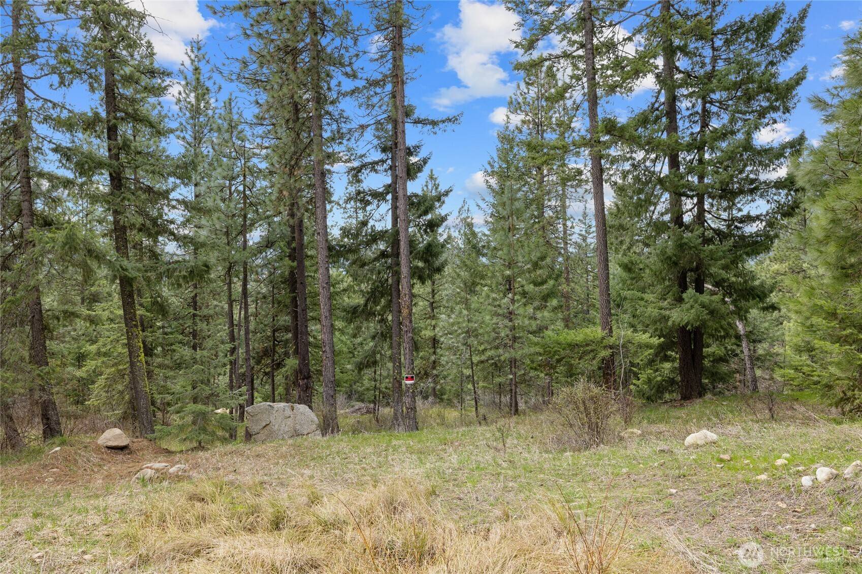 Roslyn, WA 98941,190 Indigo Lane