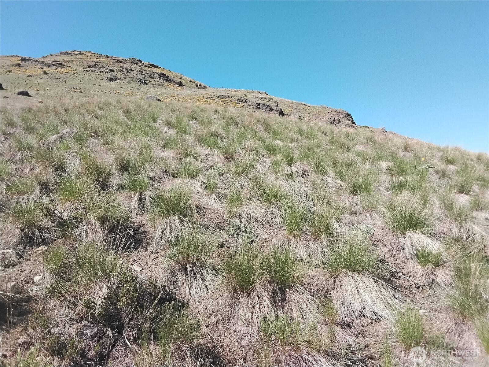 Oroville, WA 98844,0 Gafvery Creek RD