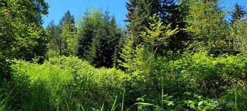 Lake Stevens, WA 98258,825 99th AVE SE