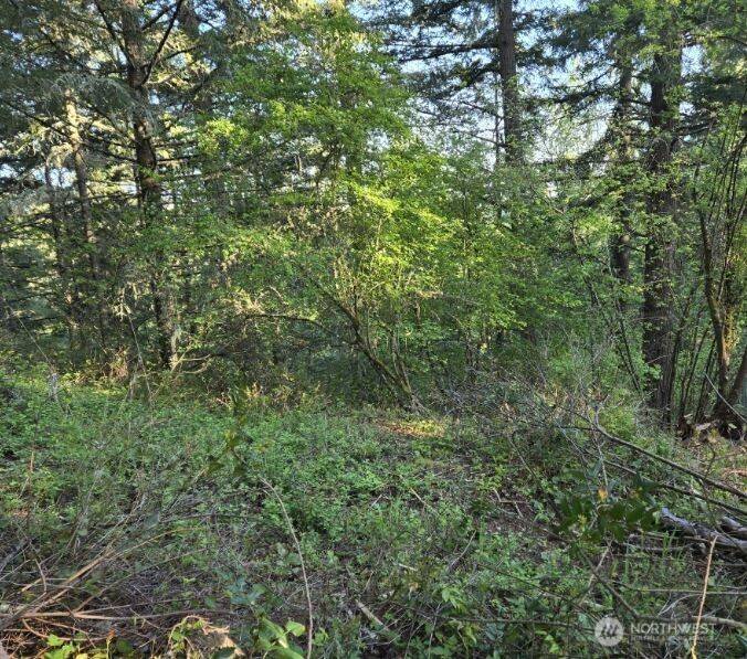 Olympia, WA 98513,7925 Incline DR SE