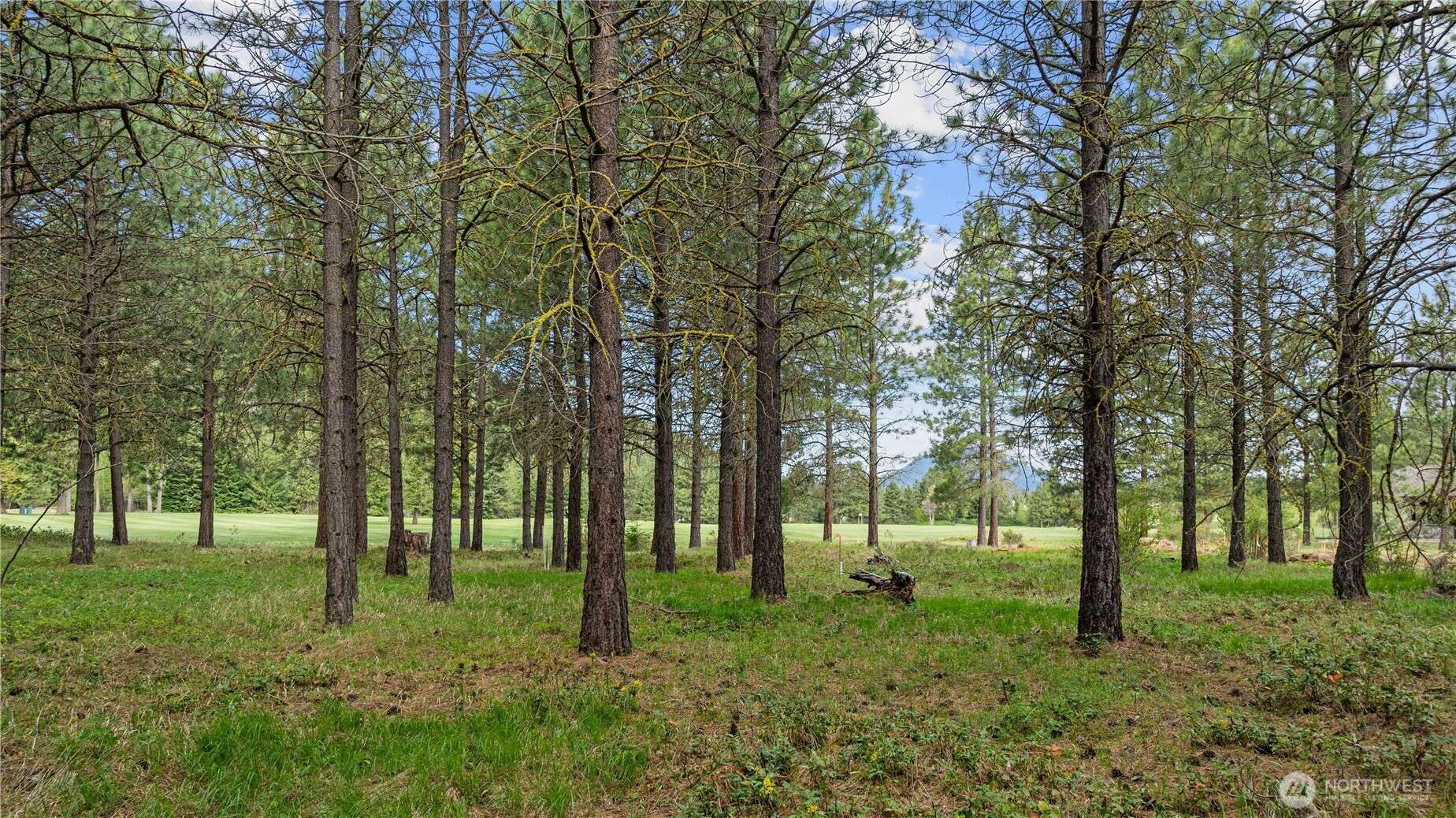 Cle Elum, WA 98922,1950 Ruby King LOOP