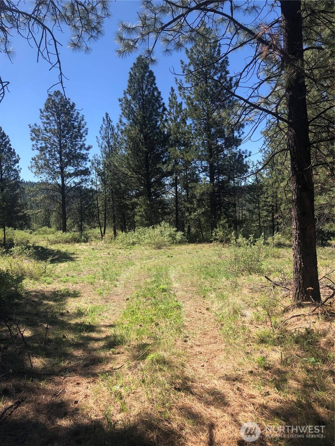 Tonasket, WA 98855,0 Ridge Top DR
