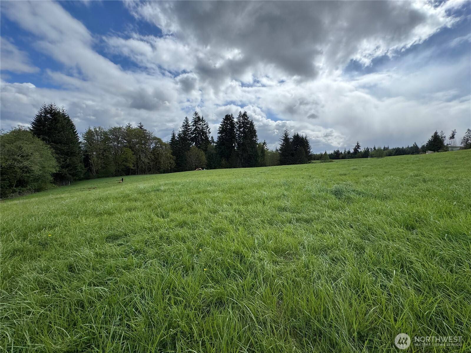 Chehalis, WA 98532,200 Lot B Fineveiw