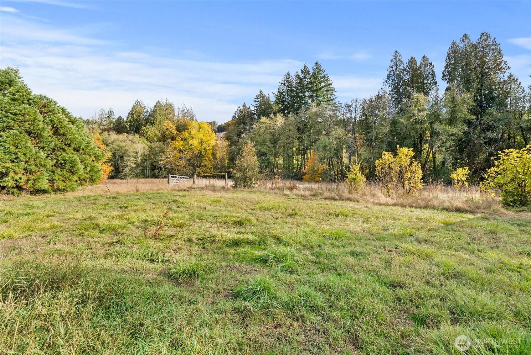 Ryderwood, WA 98581,807 Allender RD